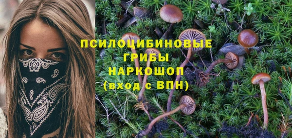 тгк Волосово