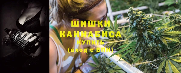 mdpv Волоколамск