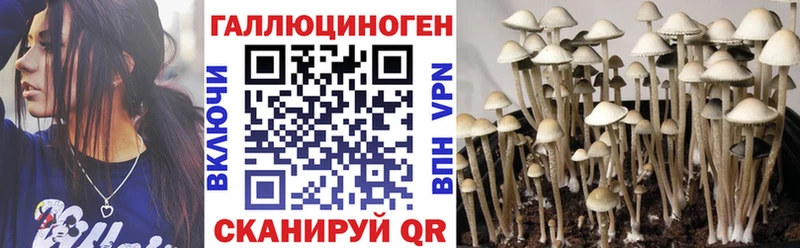 Псилоцибиновые грибы GOLDEN TEACHER Ахтубинск