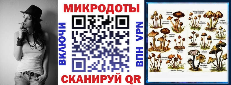 Галлюциногенные грибы Psilocybine cubensis  Купить где  Ахтубинск 